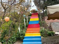 -桃源山庄·水蜜桃采摘·柴火鸡·烧烤团建(龙泉山店)