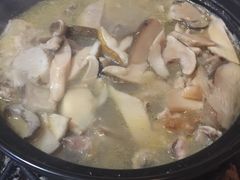 -蘑统田下·野生菌火锅