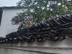 -黄牛肉馆·皖南土菜