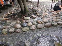 -成都市活水公园