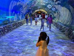 -华夏文旅海洋公园