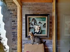 -创艺无限·赵春香微妙艺术馆