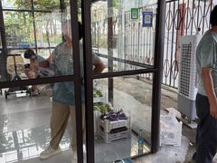 -马陆小张葡萄园农家乐