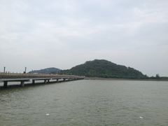 -野狸岛