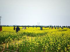 -兰陵国家农业公园