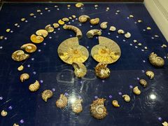 -青岛贝壳博物馆