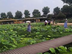 -武汉紫薇都市田园