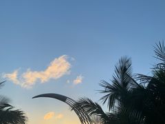 -东澳岛