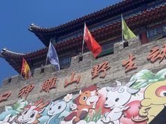 -西霞口神雕山野生动物世界