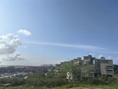 -洋山深水港观景平台