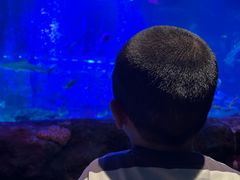 -沈阳海洋探索中心