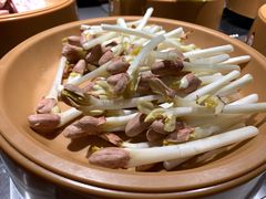 花生-龍歌自助小火锅(城阳万象汇店)