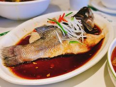 清蒸鲈鱼-紫光园(燕郊总店)