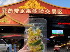 -曼阁市场水果批发市场