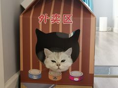 -猫十亿·布偶金渐层·曼基康矮脚猫舍(青年路店)
