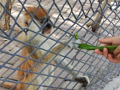 -水上乐园·欢乐世界