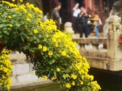 -上海醉白池公园