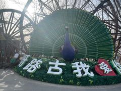 -呀路古热带植物园