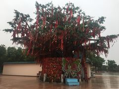 -芜湖方特东方神画