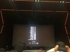 -奥斯卡升龙国际影城(RealD Cinema)