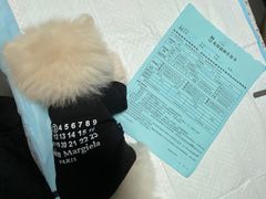 -半岛宠物医院24小时(科华中路店)