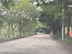 -三水森林公园