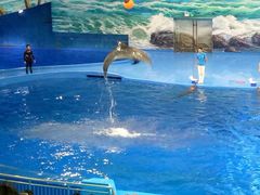 景点-多彩贵州城极地海洋世界