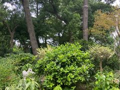 -兰溪青年公园