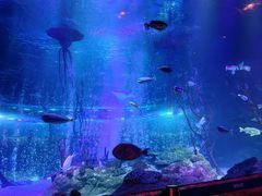 -沈阳海洋探索中心