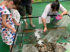 -凯德广场(金牛店)
