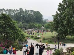 -火炉山森林公园