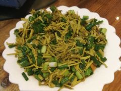 -欢乐松鼠谷