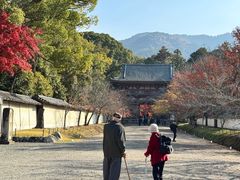 -醍醐寺