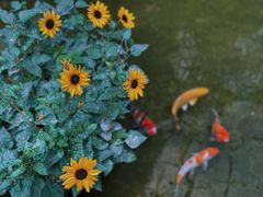 -漫笙舍Manse·咖啡·民宿