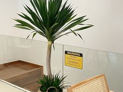 -Line来恩咖啡(石厦花园店)