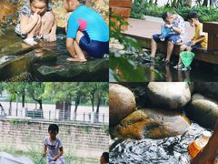 -成都市活水公园