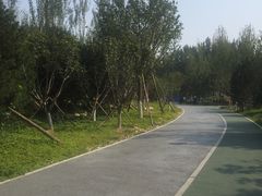 -回龙观体育文化公园