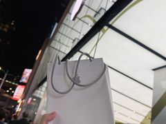 -Apple 零售店(Canton Road)