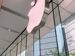 -Apple零售店(华贸购物中心店)