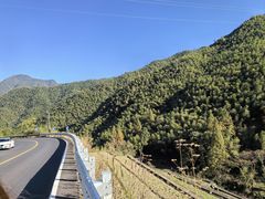 -四明山国家森林公园