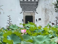 -诗莉莉·厚德堂私房菜