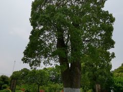-韩湘水博园