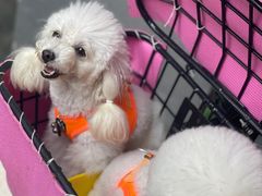 -恩宁刘福记(东华东路店)