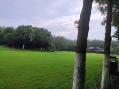 -合肥滨湖国家森林公园