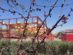 -大明幻境第一城