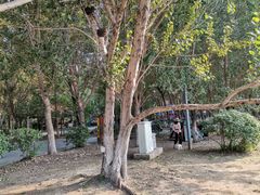 -长白岛森林公园