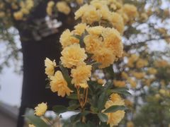 -浙江农林大学(东湖校区)