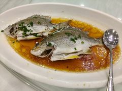 -庭苑美食中心·陈皮烧鹅·海鲜(台山店)