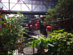 大堂-鹅城