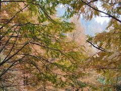 -山王坪喀斯特国家生态公园